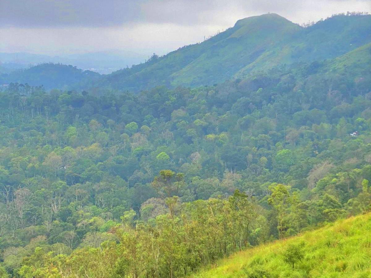 The Windy Mist Resort Munnar Chinnakanal Exterior foto